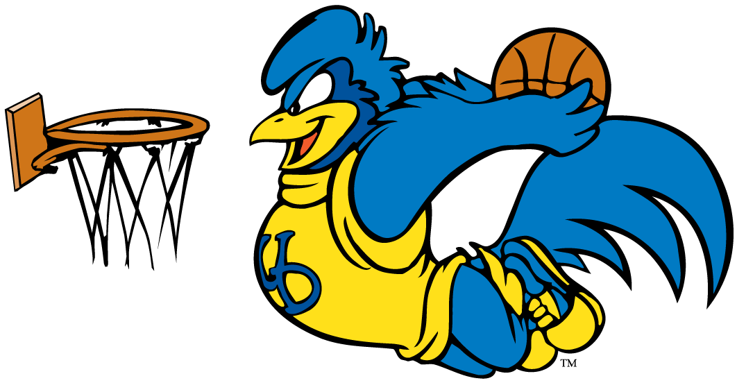 delaware blue hens 1993-pres mascot logo t shirts iron on transfers v7